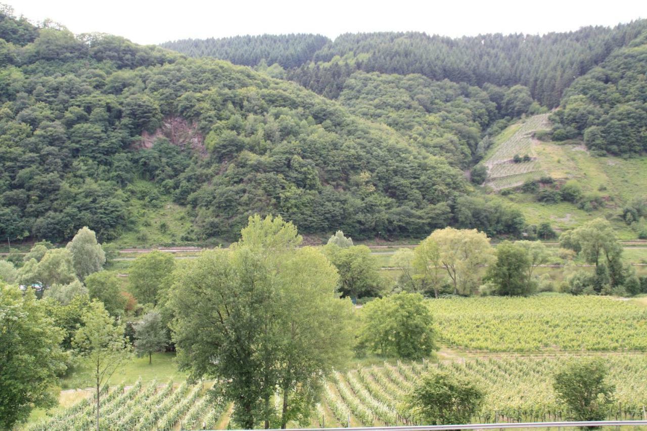Weingut Sauer-Kettermann Villa Enkirch Buitenkant foto