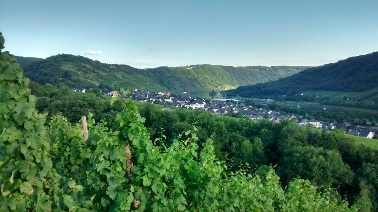 Weingut Sauer-Kettermann Villa Enkirch Buitenkant foto