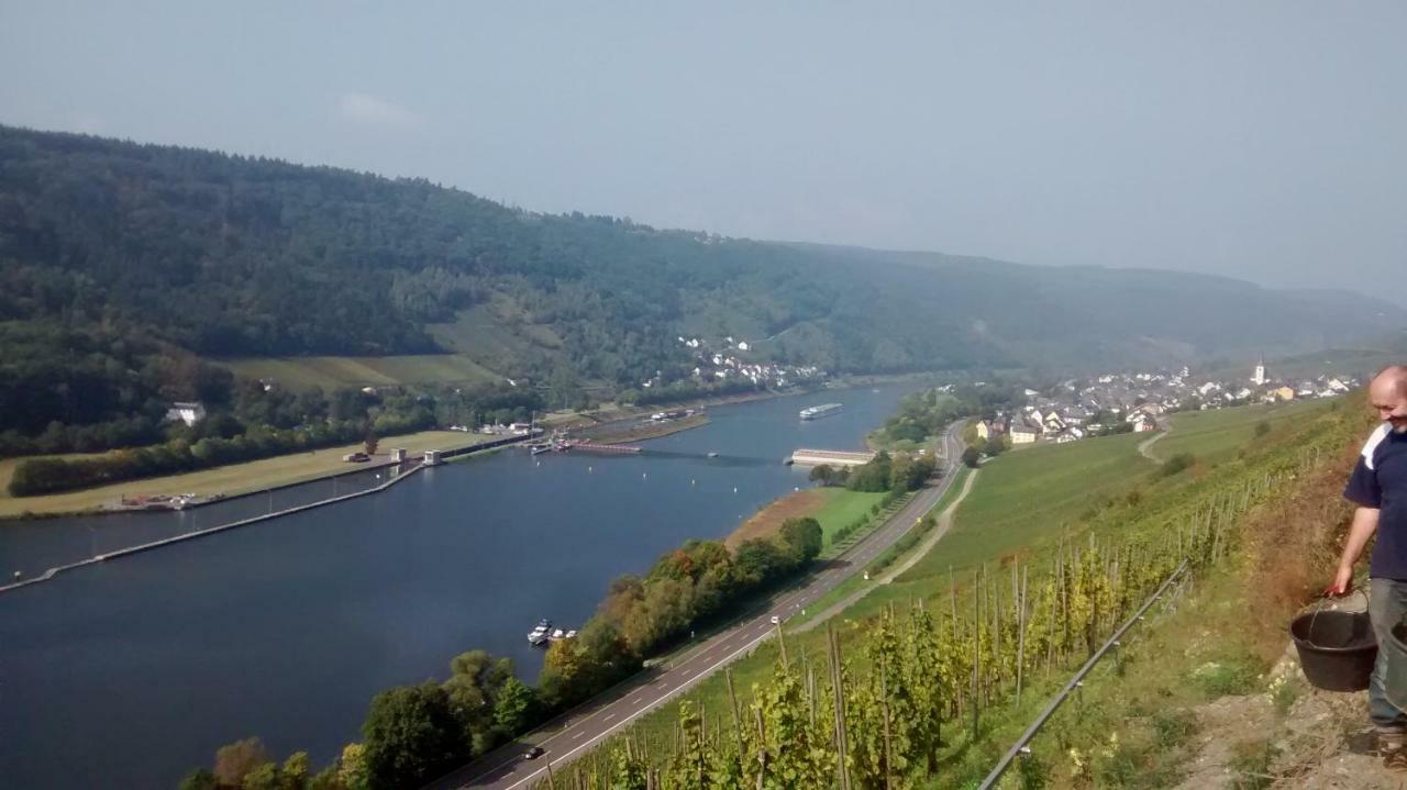 Weingut Sauer-Kettermann Villa Enkirch Buitenkant foto