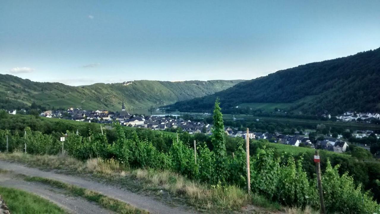 Weingut Sauer-Kettermann Villa Enkirch Buitenkant foto