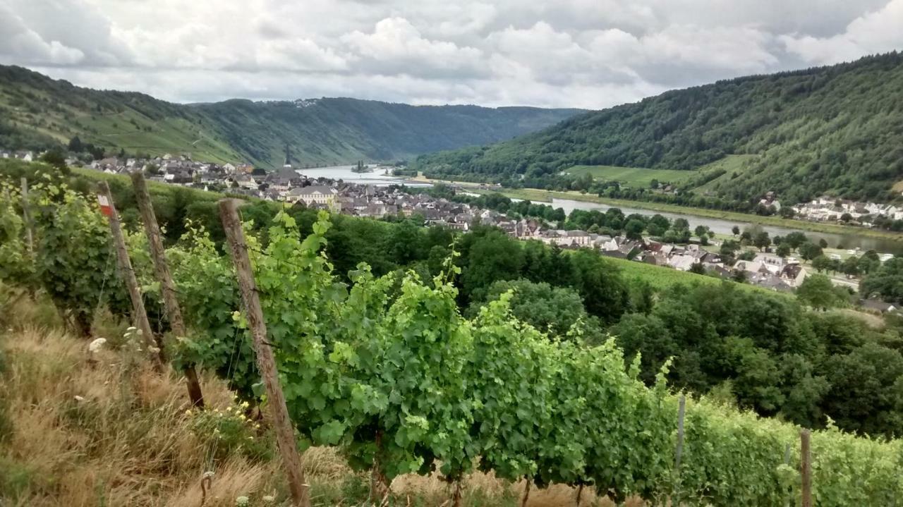 Weingut Sauer-Kettermann Villa Enkirch Buitenkant foto