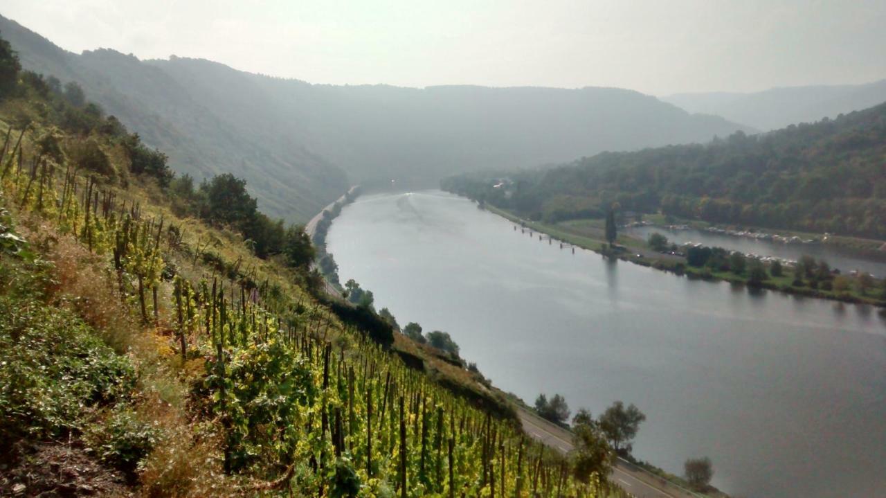 Weingut Sauer-Kettermann Villa Enkirch Buitenkant foto